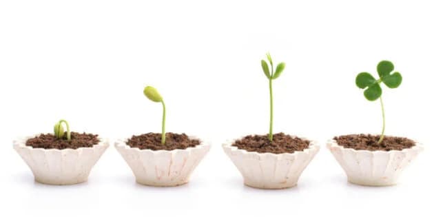 ¿Es el análisis prescriptivo el de mayor valor?