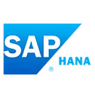 SAP Analytics